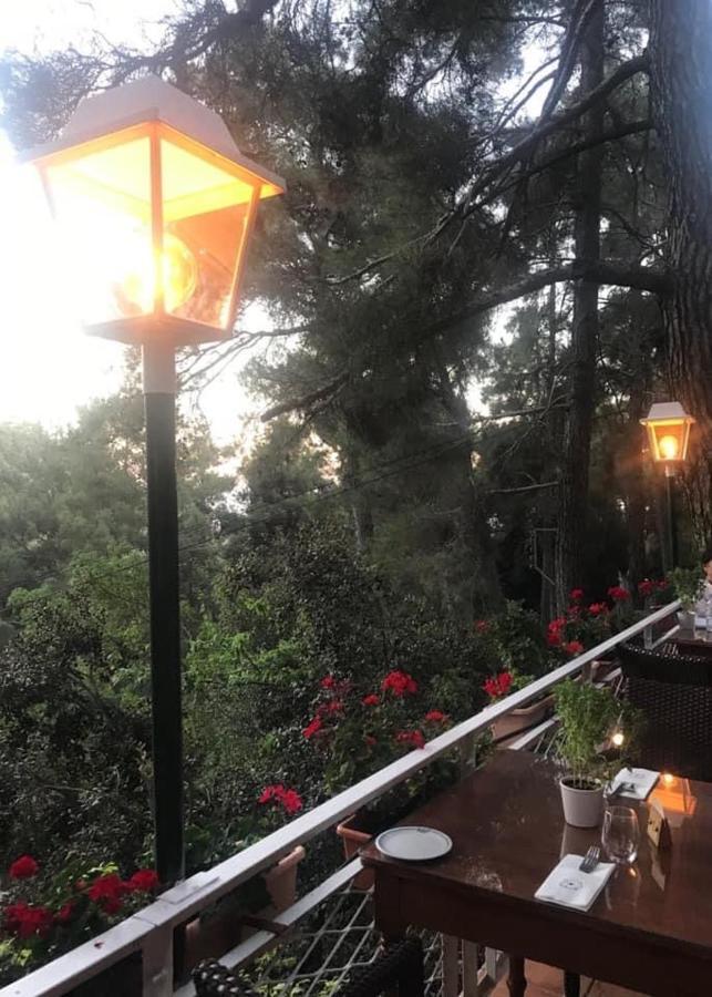 New Helvetia Hotel بلاتريس المظهر الخارجي الصورة